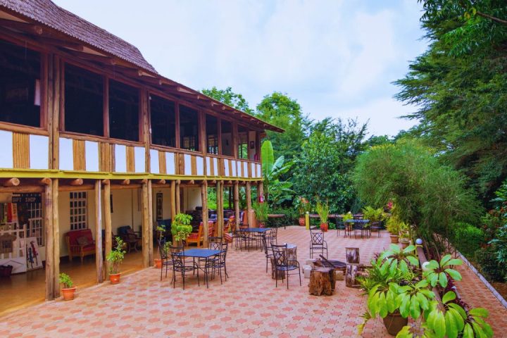 Eileen’s Trees Inn