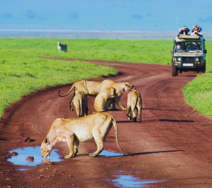 Tanzania Picture (17)